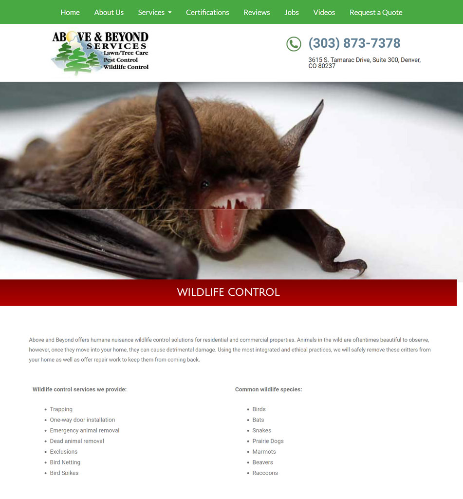 Denver Wildlife Control