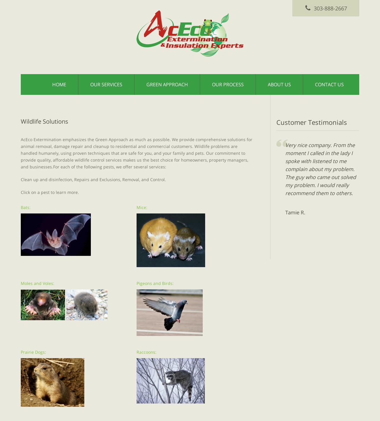 Aurora Wildlife Control