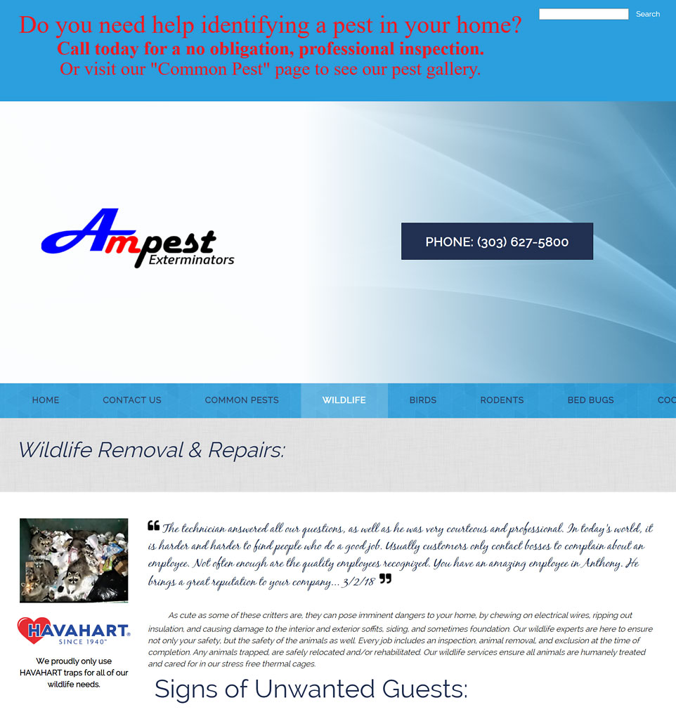 Denver Wildlife Control