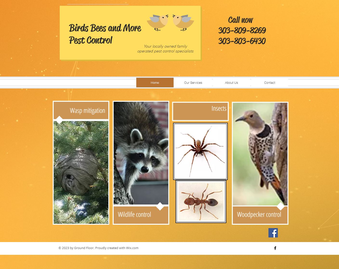 Denver Wildlife Control