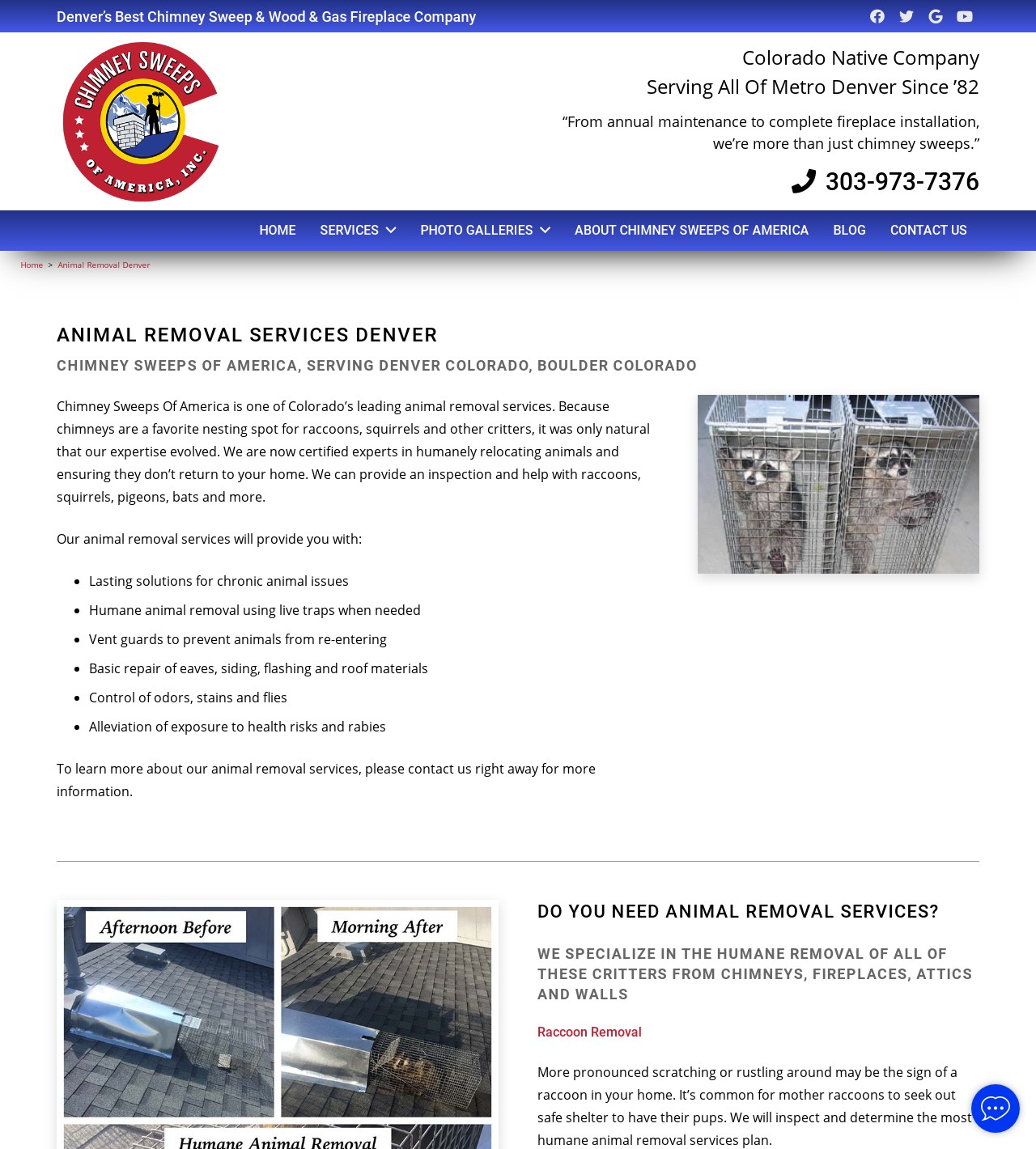 Arvada Wildlife Control