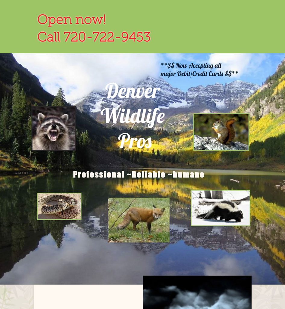 Denver Wildlife Control