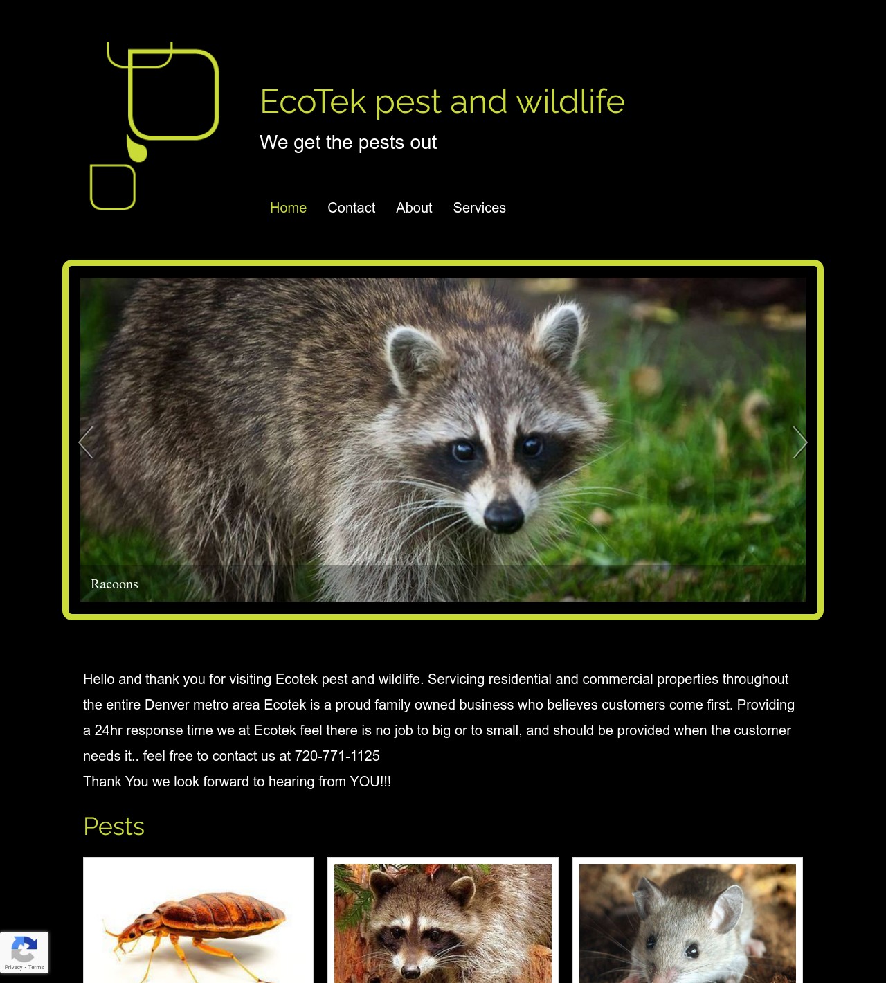 Thornton Wildlife Control