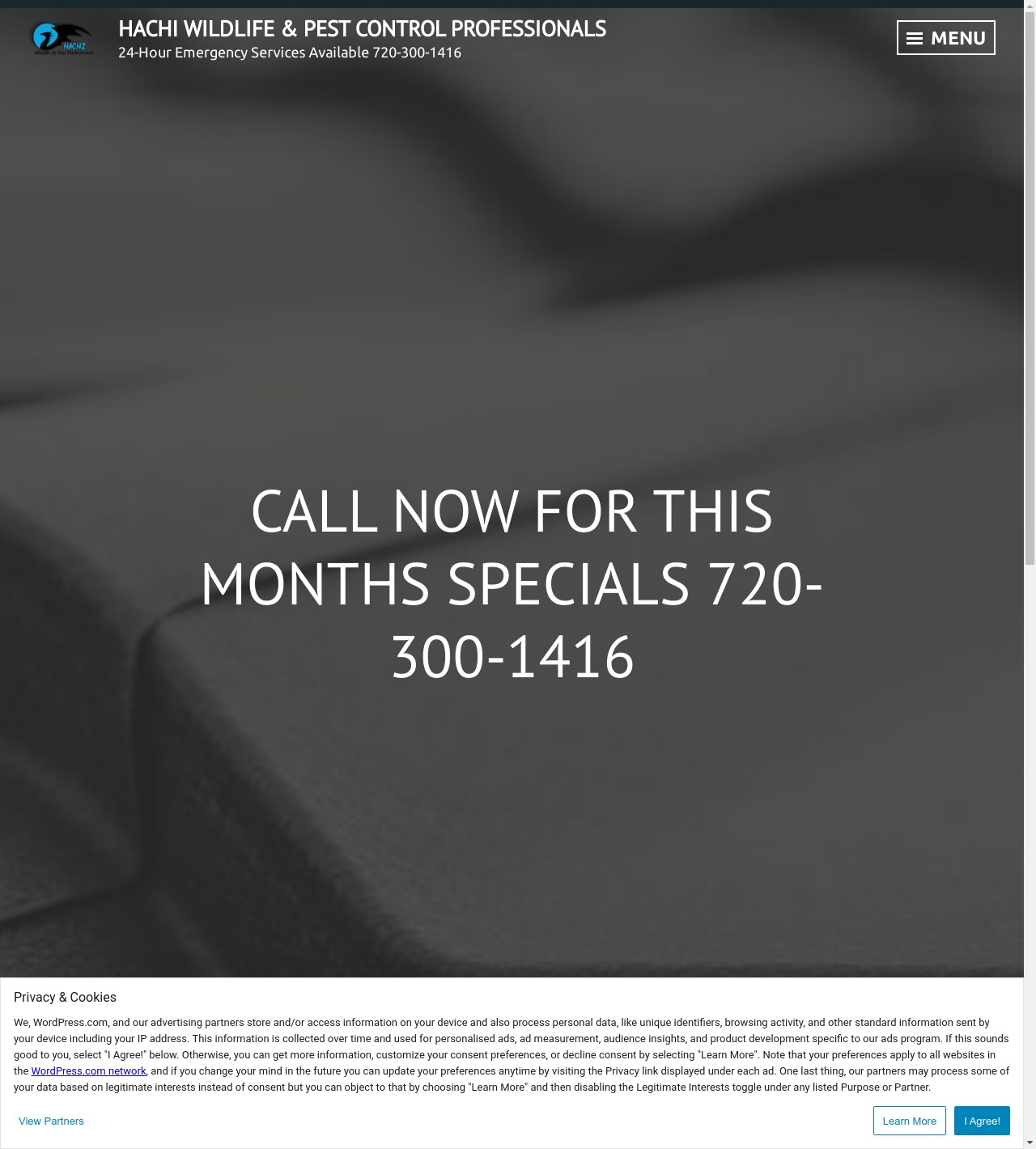 Boulder Wildlife Control