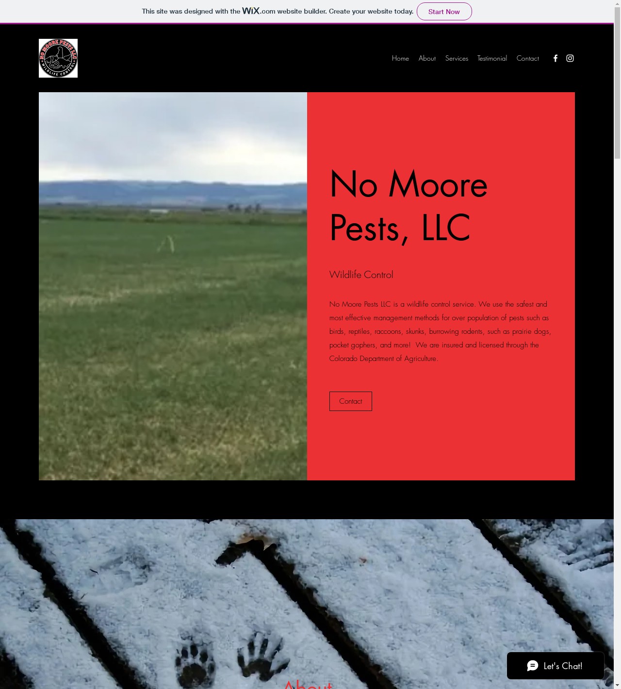 Pueblo Wildlife Control