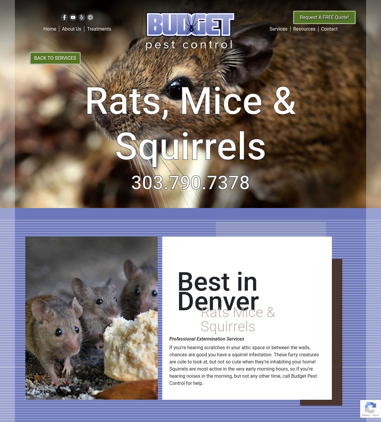 Arvada Wildlife Control