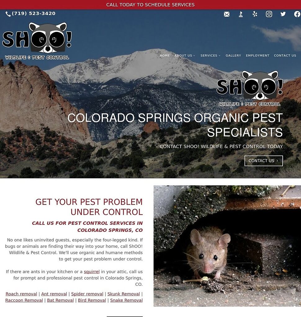 Colorado Springs Wildlife Control