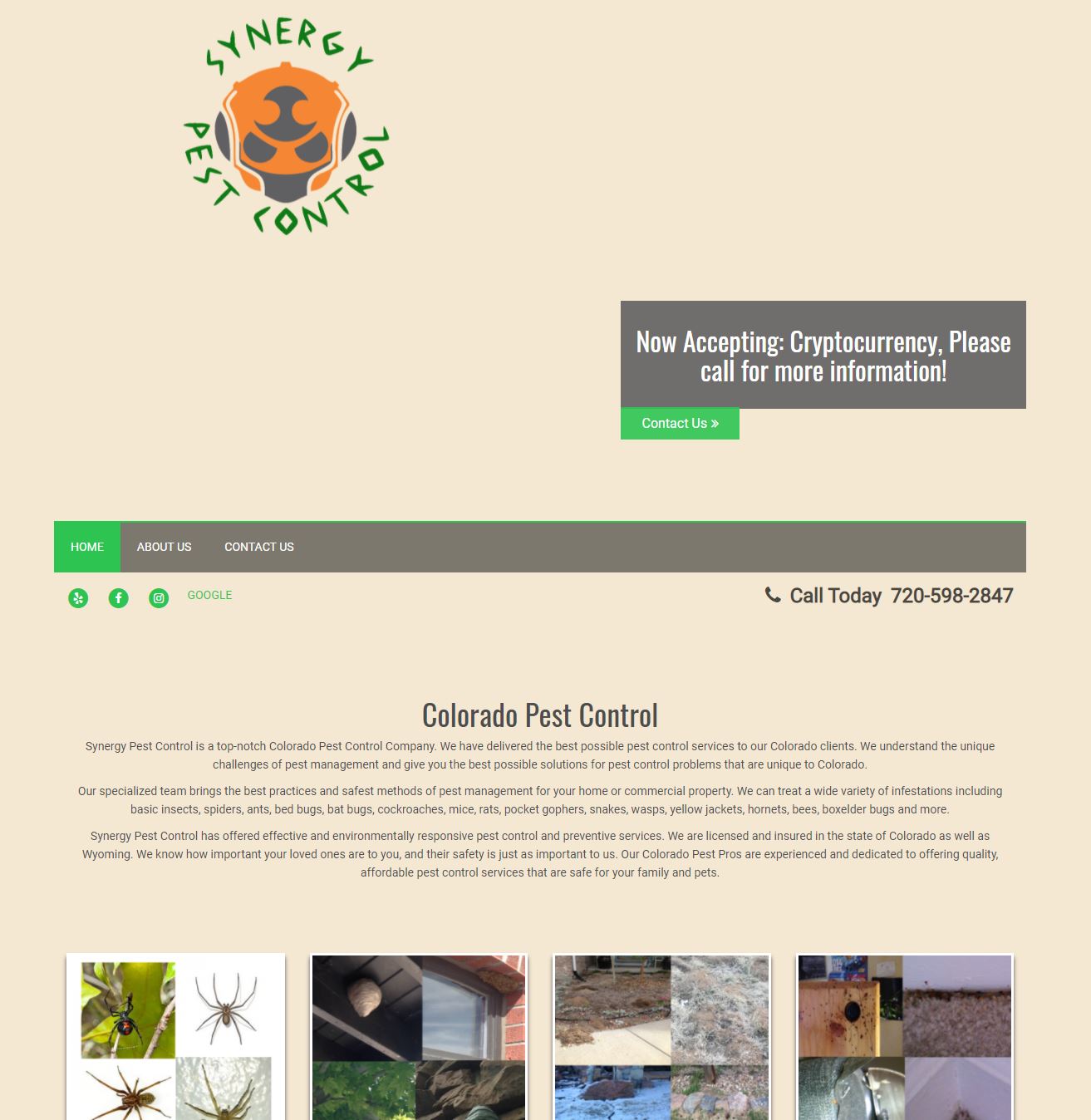 Denver Wildlife Control