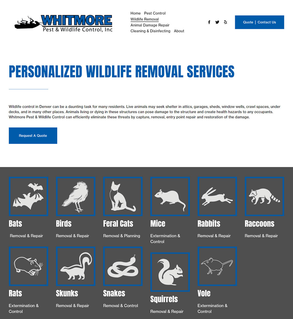 Denver Wildlife Control