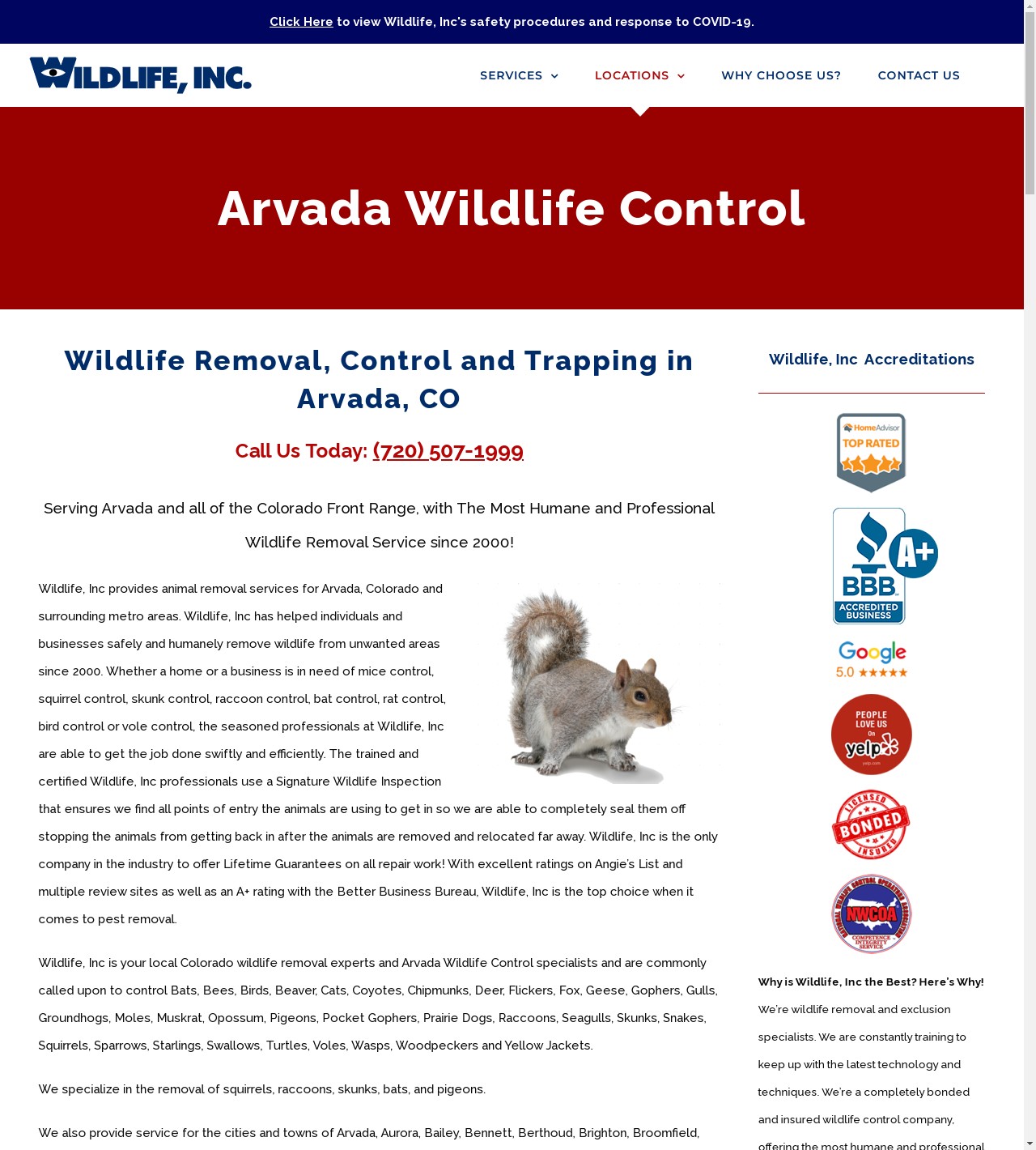 Arvada Wildlife Control
